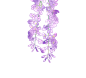 自己画的紫藤花素材，关注我可以抱走使用，不… - 半次元 - ACG爱好者社区