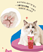 我发现了奈雪杯子上的“猫腻”… : 奈雪x中国小动物保护协会｜「奈雪猫猫店」原创猫猫爪杯塞，全国上新！