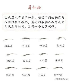 飞掠七海的风采集到彩绘