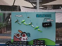 微信截图_20240606114508