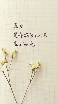 小清新心灵鸡汤个性手机壁纸大全