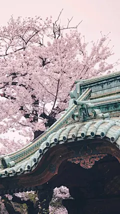 【高清手机壁纸。风景美图。城市风光摄影。设计灵感。桌面锁屏。日系韩系欧美。小清新。】❤️