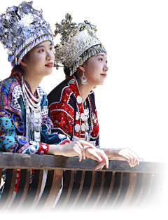 拜了个拜6采集到人wu su cai