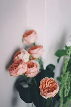 乌云乌云快走开- #壁纸#