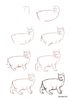 土咅木艮采集到手绘猫