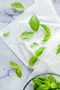 FOOD: Basil : Editorial food photography.