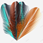 五彩斑斓的羽毛插画矢量图 元素 免抠png 设计图片 免费下载 页面网页 平面电商 创意素材
