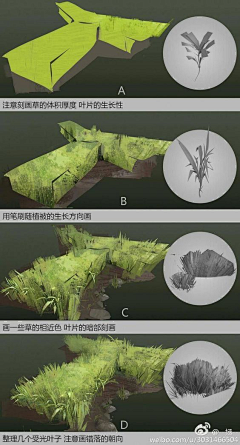 Doro_zzz采集到C-植物