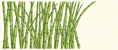 竹林  - 源文件下载【酷图网】竹林,竹子,手绘,插画,竹节