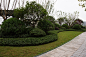 DSC07339