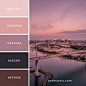 Color Palettes – Ave Mateiu  Check more on huedeck.com #huedeck #hueoftheday