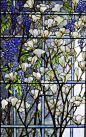 Tiffany Studios - Magnolia y Wisteria ventana