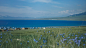在赛里木湖做一场蓝色的梦 - 布鲁斯小岛 - CNU视觉联盟