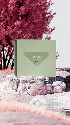 sunnyday-huaban采集到Prada