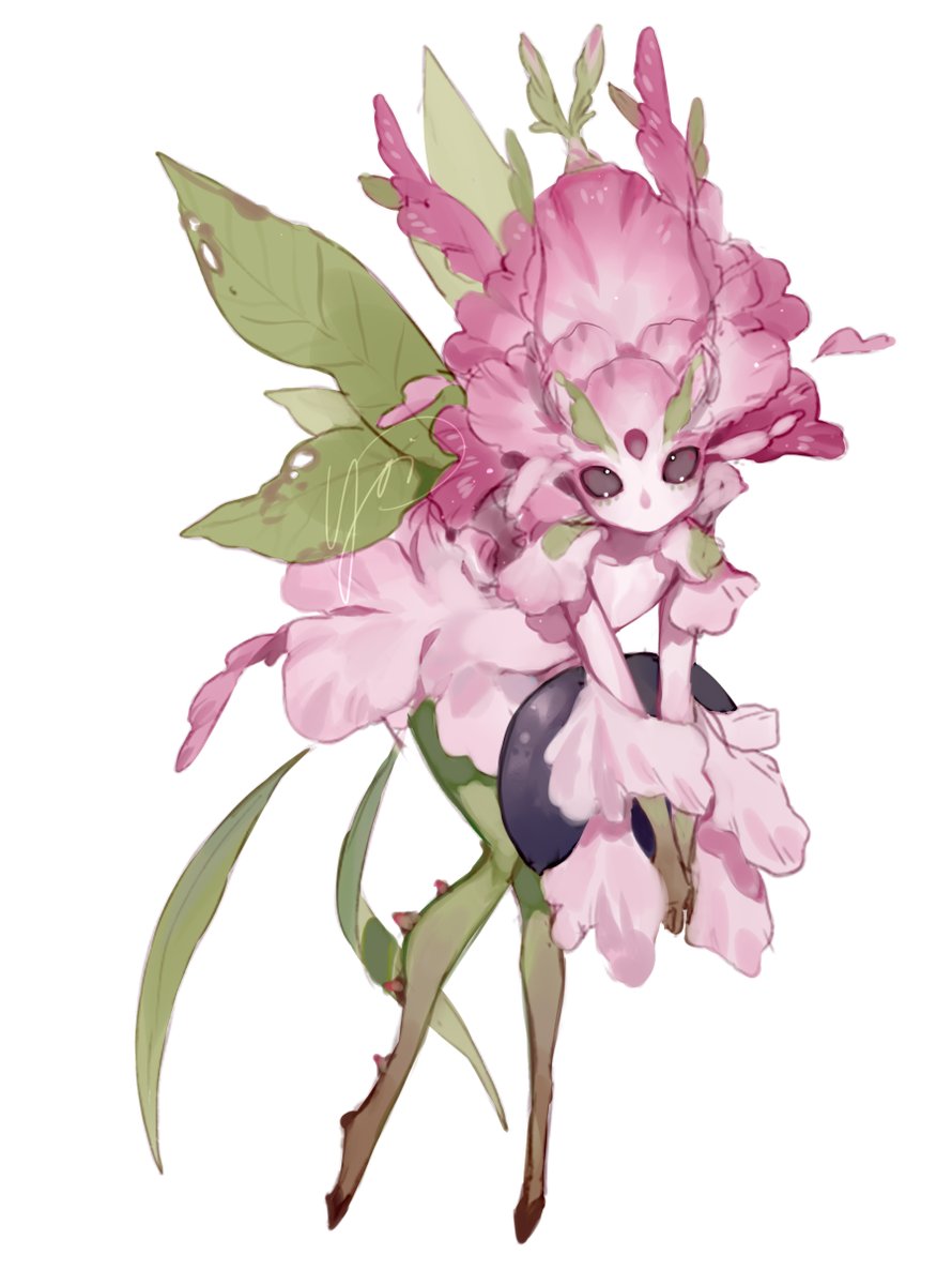 森林花妖精