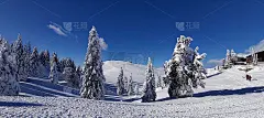 冬天的童话