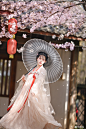 #明羌加油拍照照##南通约拍##南京约拍##无锡约拍##樱花##无锡鼋头渚樱花节##鼋头渚#
『 嘿，趁着春天
     跟我去看樱花吧～ 』

摄影：@Tutor_三哲子
出镜/后期：O明羌_
抄送老师：@Terry-F  @乌鸦_LoveNPeace ...展开全文c