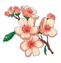 皛九采集到桃花素材