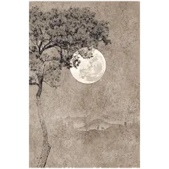 O1CN01TWA4cQ1xi3mhGZFHU_!!2108256476