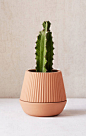Industrial Design Trends and Inspiration - leManoosh : leManoosh is an industrial design ressource to learn and find inspiration with the latest trends in the industrial product design industry and sketches