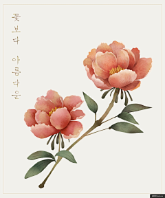 ー柯小肥兔采集到扁平 植物