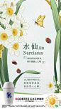 清爽宣发！18个肯德基商业海报设计