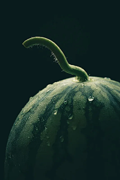 宅特闷先生采集到静物