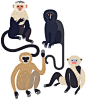 Monkeys - Laura Edelbacher Illustration & Graphic Design