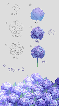 向木木采集到教程