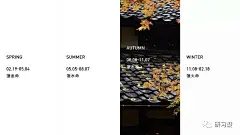 名片风水学让你再升逼格