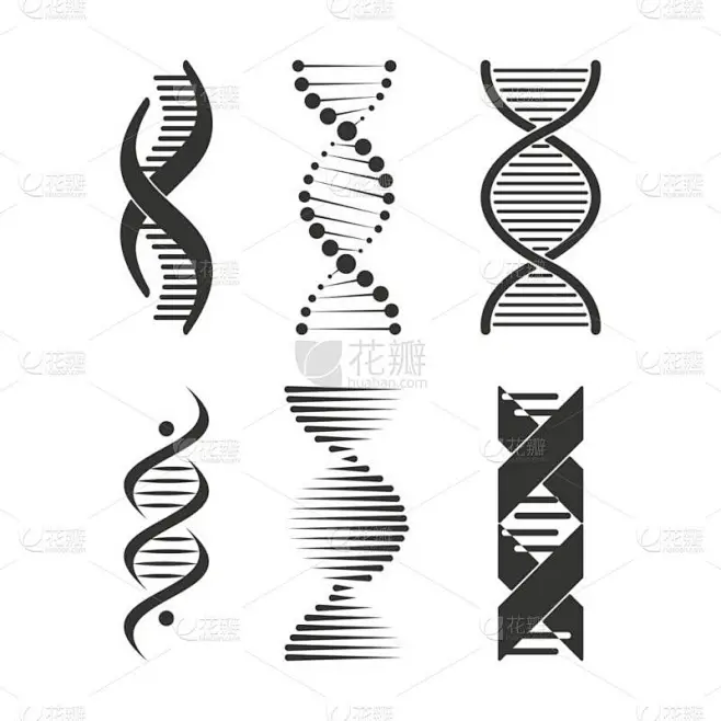 Dna图标染色体链符号集设计-花瓣网