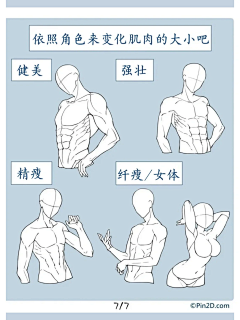 涡来守狐采集到肌肉