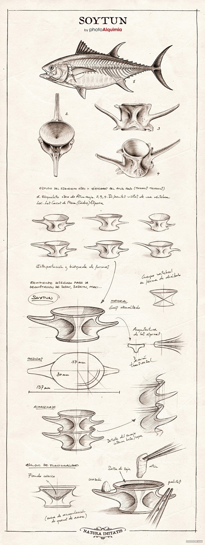 SOYTUN日本金枪鱼鱼骨调料盘设计-p...