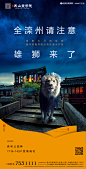 大马戏