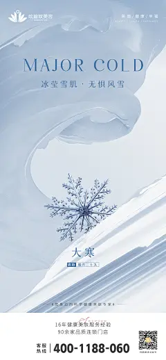0117大寒海报