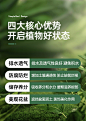 养花通用型园艺陶粒 水培铺面垫底防烂根保湿透气-tmall.com天猫