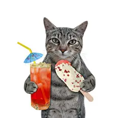 点击来源直接获取大图文件 |A gray cat holds a fruit popsicle and a glass of juice with ice. White background. Isolated.
