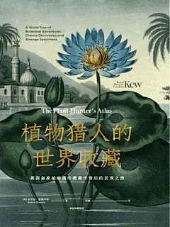 植物猎人的世界收藏（典藏级博物艺术佳作，历经数百年的纸上植物发现之旅）（_安布拉·爱德华兹）TG频道@hi24hbook