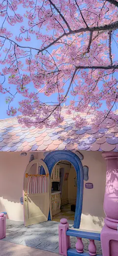 欢愉且胜意，万事皆可期   #风景手机壁纸