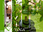 瑜伽 spa 美容美体健身 瑜伽宣传折页 宣传三折页 广告设计 瑜伽海报 绿色封面折页 易拉宝 展架