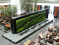 Living Green Walls: The Wallpaper of the Future is Alive!: 