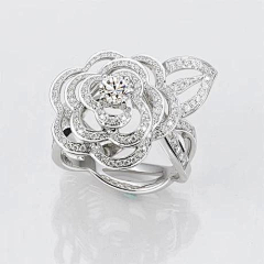 珠宝定制设计采集到玫瑰花，花类