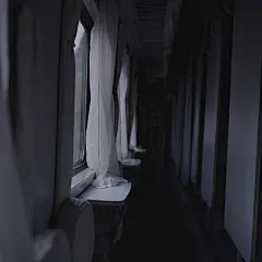 p2253452696