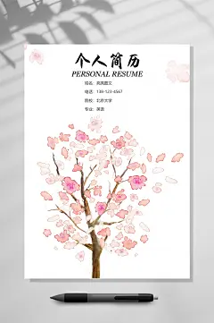 个人简历成套个人简历WORD