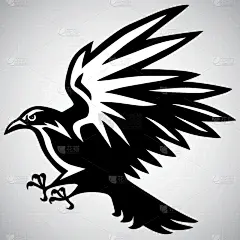 品牌名称,乌鸦,黑白图片,运动,模板,鸟类,大乌鸦,哥特式风格,追击