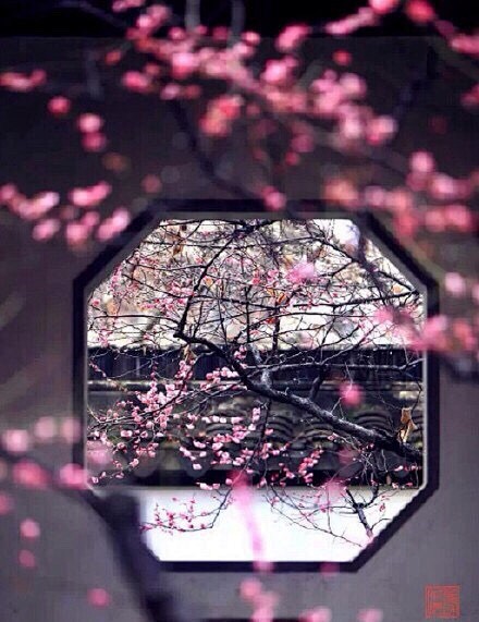一窗框景知时节。
