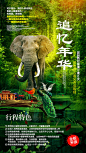 【源文件下载】 海报 云南 旅游 大理 丽江 西双版纳 大象 孔雀 雨林 绿色 生态 189560