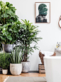 Planten in je badkamer Mooiwatplantendoen.nl