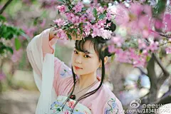 一片桃花一片春·汉服 / 拍摄于#北京·元大都遗址公园# 摄影和后期：我。出镜@于大乔 ，服装@芥子记  #汉服#@汉服荟