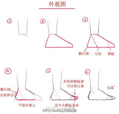 kiluua采集到绘画教程